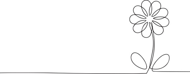 Daisy flower one continuous line art, Vector illustration, One line art, Line art graphic style