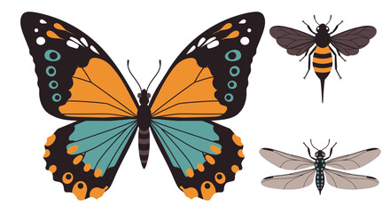 Colorful monarch butterfly and two moths isolated on for nature and insect art isolated on white background