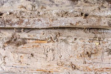 Detailed close up of rustic wooden planks with natural grain, rough texture, scratches, and weathered surface. Perfect background for design projects, vintage decor, carpentry, and creative artwork.