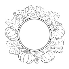 Pumpkin Plant with Flowers, Fruits and Leaves Outline Round Frame. Organic natural nutritional healthy food ingredient, vegetarian diet product. Vector isolated for design or decoration.