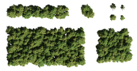 trees in the forest, top view, area view, isolated on transparent background, 3D illustration, cg render
