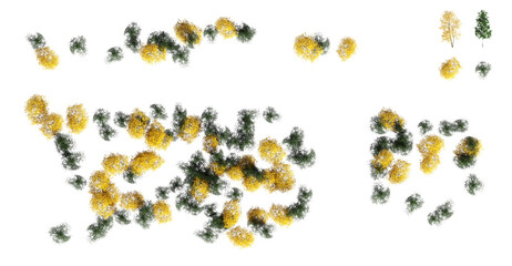 trees in the forest, top view, area view, isolated on transparent background, 3D illustration, cg render
