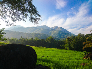 mountain landscape with green grass