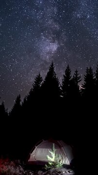 Illuminated tent under the starry sky in the forest at night, surrounded by tall pine trees, vertical video