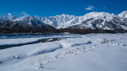 Fototapeta premium 冠雪の山並み 北アルプス 長野県白馬村