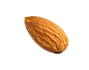Close-up isolated macro shot of a single brown almond nut on a black backdrop
