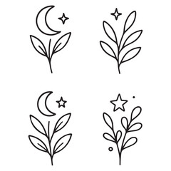 Botanical Moon and Star Line Art: Celestial Plant Illustrations.