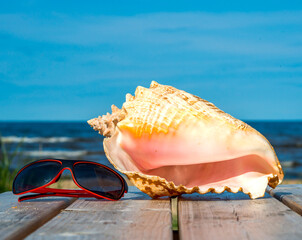 Seashell and sunglasses on the beach, attributes for bliss and healthy vacation