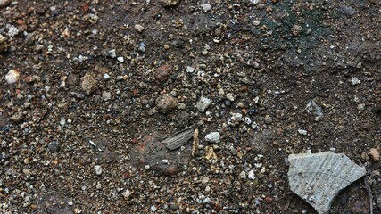 Rough soil ground with small stones and pebbles, natural earth texture background