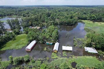 Flooded Rural Landscape: Houses Submerged in Water Amidst Lush Greenery, Impact of Climate Change, Natural Disaster, Post-Monsoon Season in Asia, Aerial View of Submerged Structures © MD Kamrul