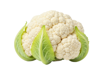 Isolated cauliflower head with green leaves, a nutritious and versatile fresh vegetable