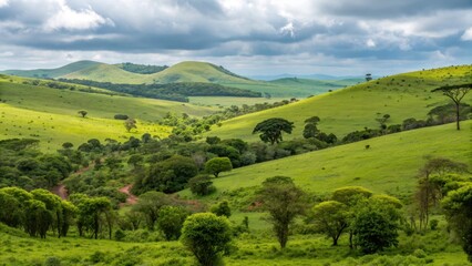 Obraz premium wildlife rescue center Vibrant green hills and trees under a cloudy sky create a serene landscape scene.
