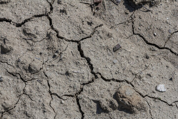 Dry cracked earth with visible fissures indicating extreme drought conditions in a rural area