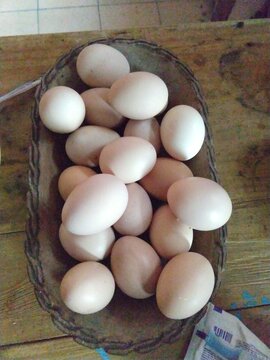 huevos de rancho