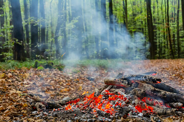 Campfire burns brightly among autumn leaves in a serene forest setting during early evening hours