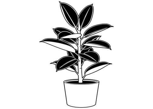 Graphic illustration of a Ficus elastica (Rubber Plant) in a pot. Bold black and white vector art for home decor, logos, and interior design.