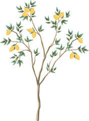 png trees pichwai art elements	