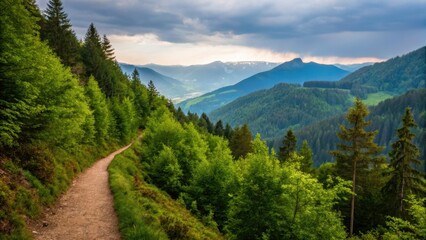 Obraz premium wildlife eco tourism Scenic mountain trail winding through lush greenery under a dramatic sky.