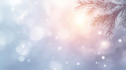 Winter Snowfall Background with Pine Branches and Soft Sunlight