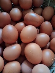 Raw Organic Brown Eggs, chicken eggs on the table. Farm products, natural eggs.