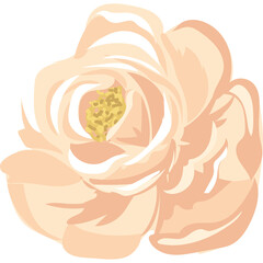 Soft Peach Rose Flower Illustration With Yellow Center Delicate Petals And Transparent Background Isolated On White Studio