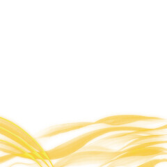 Abstract digital art featuring a smooth golden light flow on a black background. It represents energy, calmness, and warmth — perfect for modern design, wall decor, or inspirational artwork.