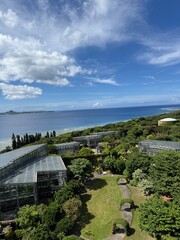 Fototapeta premium view of the coast of the baltic sea