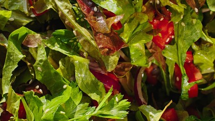 Fresh lettuce leaves in the sun, close-up macro photography. Healthy vegan cooking, organic food, diet, detox, cuisine and healthy lifestyle. Restaurant background