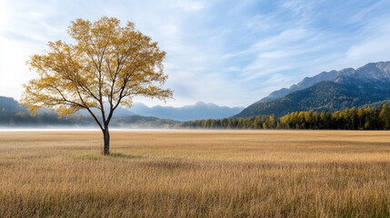 Obraz premium Solitary tree stands golden field, surrounded by misty mountains and serene sky. warm autumn