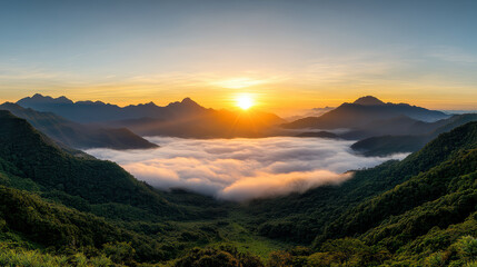 Soft mist over valley at sunrise, awakening nature beauty and tranquility