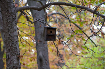 A bird house in a tree