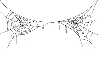 Delicate Spider Webs Vector Illustration with Fine Black Lines, Minimalistic Design, Realistic Structure, Intricate Details, Droplets, and Symmetrical Horizontal Composition for Nature and Halloween