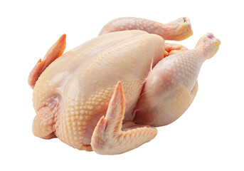 Isolated raw whole chicken, ready for cooking, poultry preparation, roasting, frying, food