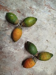 acorns on wood