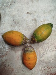coconut on the beach