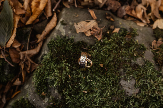 Eheringe golden auf Moos an Mauer