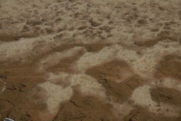 salt texture background