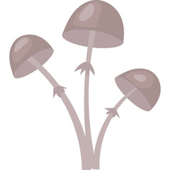 Illustration of Three Light Brown Mushrooms With Thin Stems And Pointed Leaves On A White Background