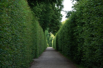 path in the park