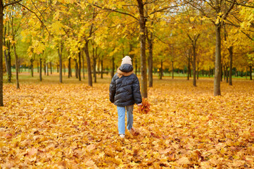 autumn stroll through vibrant forest with golden leaves. child in warm jacket and hat walks among...