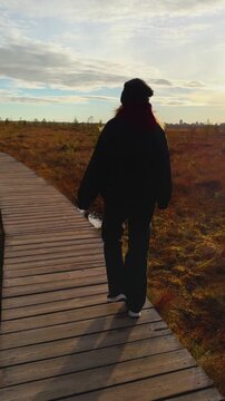 A medium wide shot captures a young woman walking alone on a wooden trail, a boardwalk, through a scenic swamp area bordered by tall pine and birch trees in an autumn landscape. 