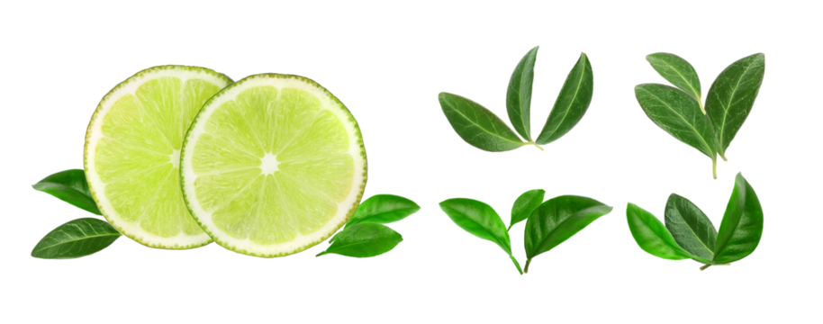 lively lime arrangement with vibrant slices and fresh green leaves, ideal for health, wellness, culinary, beverage, or promotional summer refreshment content