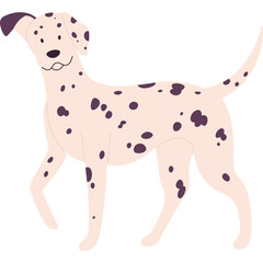 Cartoon Dalmatian Dog With Dark Spots Walking Sideways On White Background Simple Flat Design
