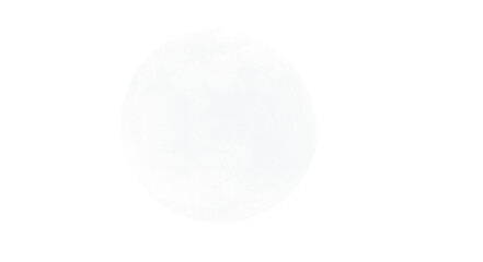 white egg isolated on white