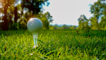 Golf clubs and golf balls on a green lawn in a beautiful golf course with morning sunshine.