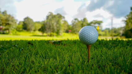 Golf clubs and golf balls on a green lawn in a beautiful golf course with morning sunshine.