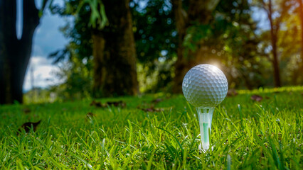Golf clubs and golf balls on a green lawn in a beautiful golf course with morning sunshine.