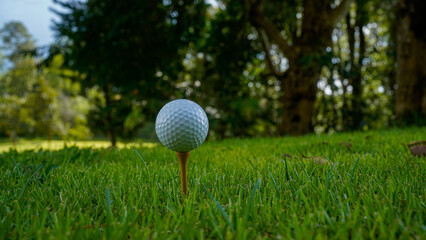 Golf clubs and golf balls on a green lawn in a beautiful golf course with morning sunshine.