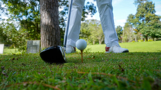 Golfer playing golf in the evening golf course, on sun set evening time.
