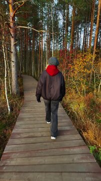 A medium wide shot captures a young woman walking alone on a wooden trail, a boardwalk, through a scenic swamp area bordered by tall pine and birch trees in an autumn landscape. 